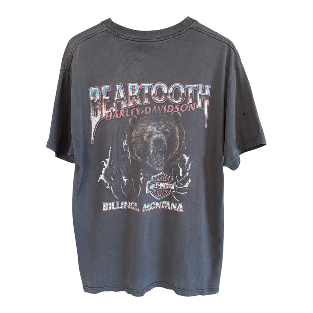 Harley Davidson "Beartooth" Tee