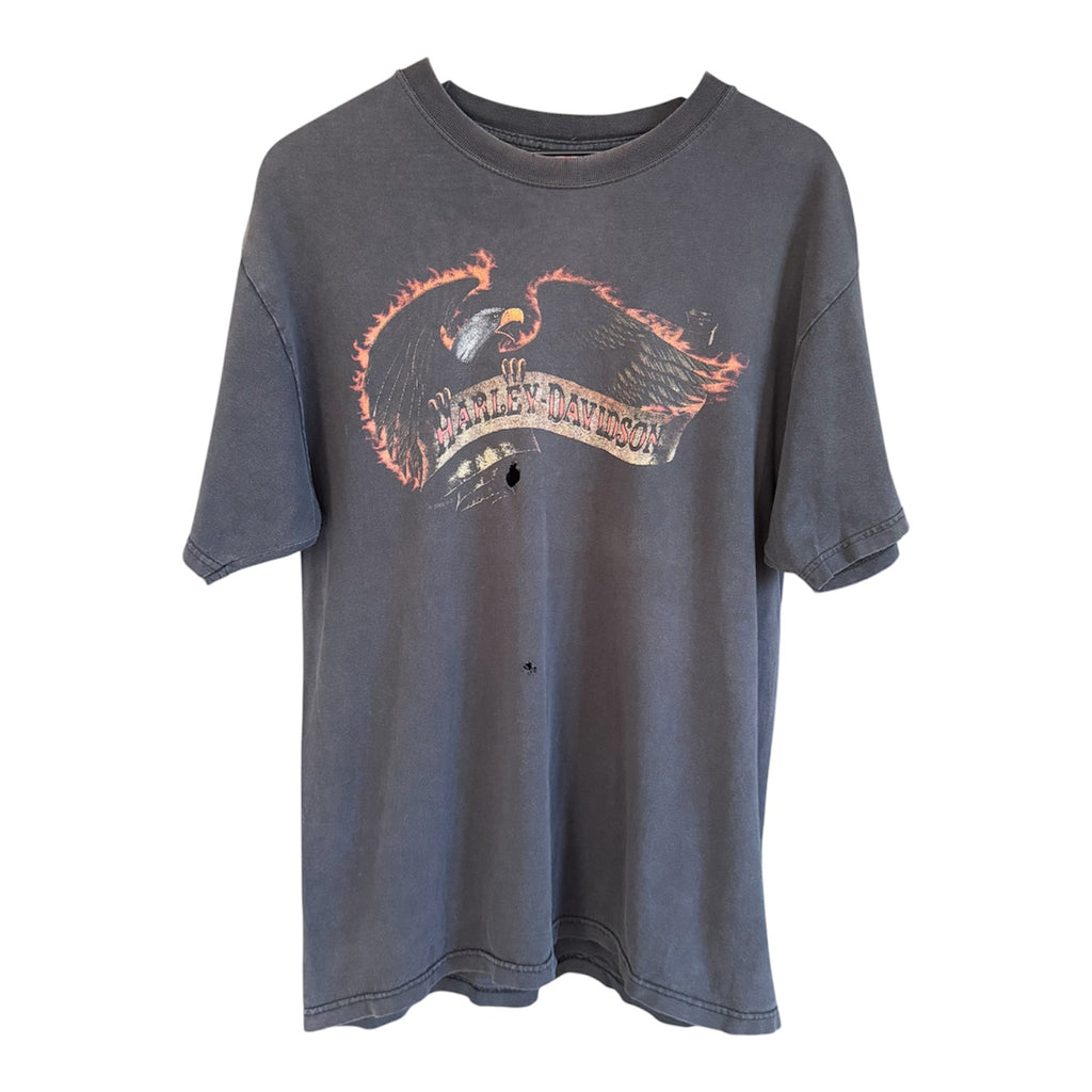 Harley Davidson "Beartooth" Tee