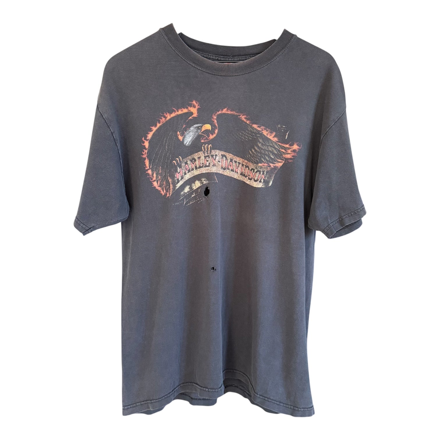 Harley Davidson "Beartooth" Tee